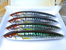 Photo1: 220-JAK.DV-BT-X純銀箔鯖魚/F (1)