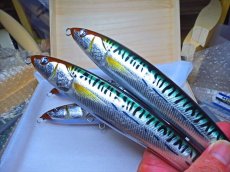 Photo11: 220-JAK.DV-BT-X純銀箔鯖魚/F (11)