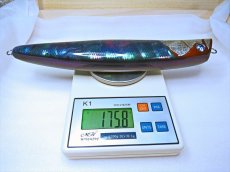 Photo9: 250-KAT65-TSP-X純銀箔橙夜光魚/F (9)