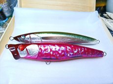 Photo1: 200-JAK-DV-POP.WG-X純銀箔血阿古屋魚/F (1)
